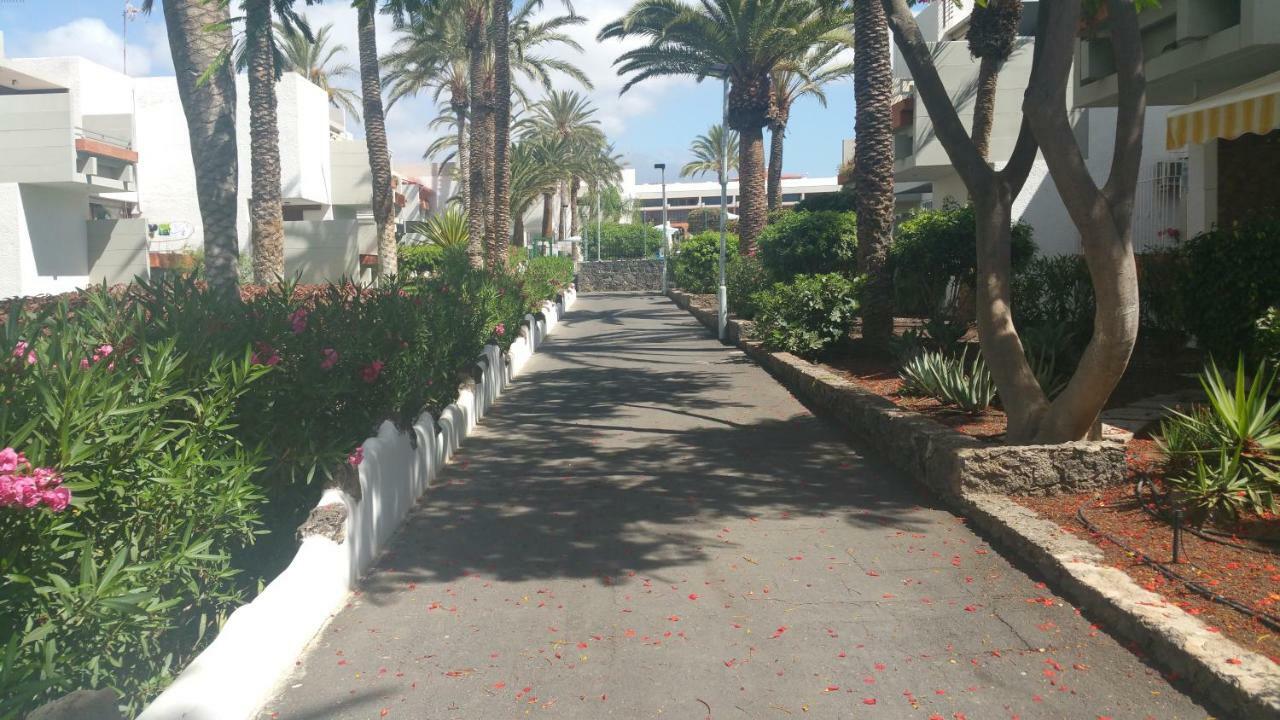 Appartamento Residencial Primavera *